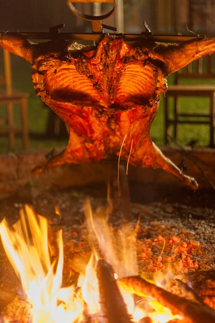 El asador está disponible para los huéspedes, así como la posibilidad de que prepare asado el encargado del campo.