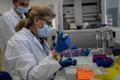 El asesoramiento genético busca determinar si existen genes anómalos que pueden derivar en malformaciones en los hijos