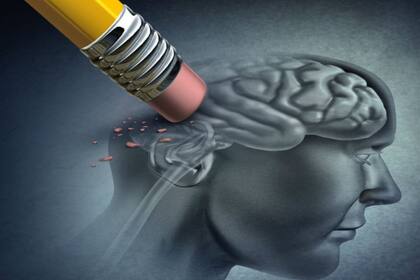 el aspecto más emocionante del estudio es que ahora se centró en un camino novedoso que hasta la fecha no se ha explorado en gran detalle. Crédito: Salud180