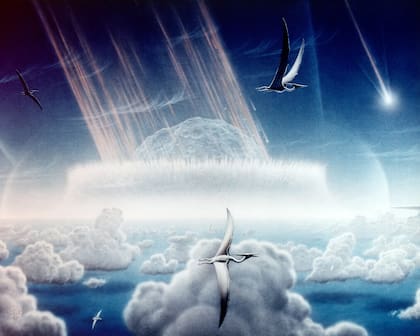 El asteroide que provocó la extinción masiva de dinosaurios aterrizó en la península de Yucatán en México (NASA/Donald E. Davis)