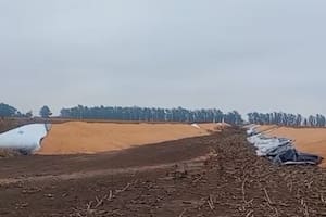 Atacaron un campo y rompieron 12 silobolsas con más de 2000 toneladas de granos