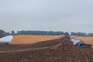Atacaron un campo y rompieron 12 silobolsas con más de 2000 toneladas de granos
