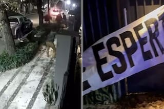 Un vergonzoso aval al escrache