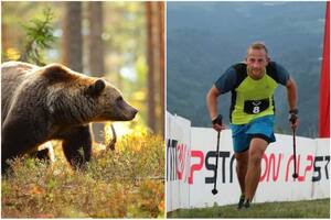 Un oso mató a un corredor en la montaña y piden sacrificarlo