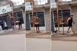 Un hombre persiguió a un ladrón que le robó su bicicleta, lo golpeó brutalmente y lo metió en un canasto de basura