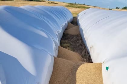 El ataque que sufrió el productor el año pasado en los silobolsas