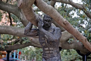 Atlas, el hombre de autopartes que sostiene al árbol más longevo de la ciudad