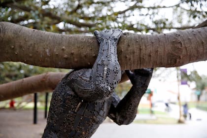 La escultura fue puesta allí para sostener las ramas del gomero
