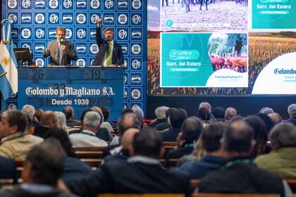 El auditorio del Banco Nación, a pleno