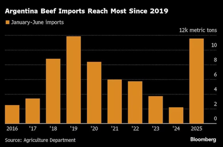 Récord de importaciones de carne vacuna en Argentina: superan las 10.000 toneladas en 2025