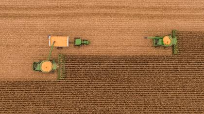 El aumento de las retenciones alcanzan al maíz y al trigo, que actualmente registran una alícuota del 12%