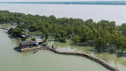 El aumento del nivel del mar está arrasando las zonas bajas, mientras que tormentas empujan el agua salada tierra adentro