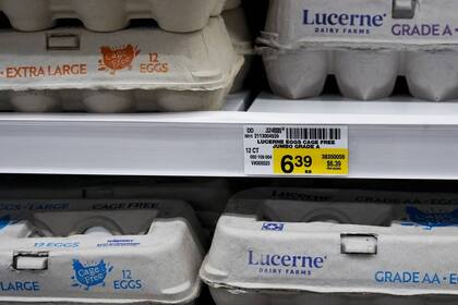 El aumento en los precios de los huevos se debe principalmente a una crisis de abastecimiento (Archivo)