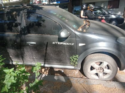 El auto de Gurruchaga al 500