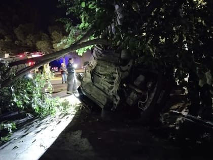 El auto impactó a toda velocidad contra un árbol.