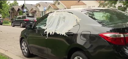 El auto se encontraba estacionado en frente de su casa en el momento en el que oficiales del ICE la detuvieron