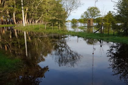 El avance del agua en un campo de Bolívar
