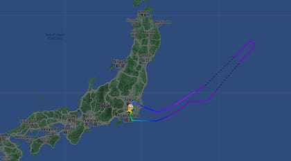 El avión de ANA debió regresar a Japón luego de que un pasajero estadounidense mordió a una azafata