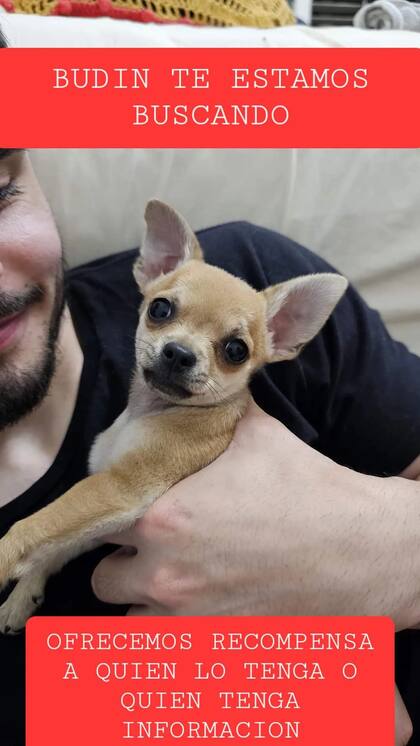 El aviso compartido por la familia de Budín