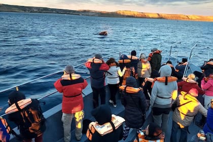 El avistaje de ballenas es una de los principales atractivos de Chubut