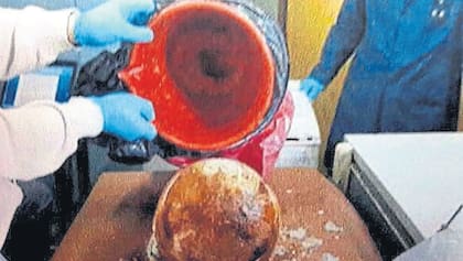 El balde rojo hallado con muestras congeladas