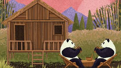 El bambú es, en realidad, un árbol herbáceo