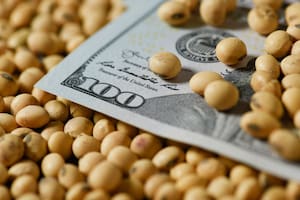 El Banco Central resolvió no renovar la resolución que encareció el crédito a los productores de soja