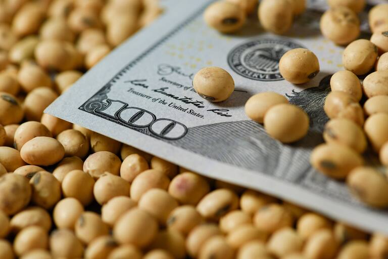 Créditos: el Banco Central dejaría caer una normativa que afecta a los productores de soja