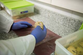 Para qué sirve y cómo es un banco de cerebros