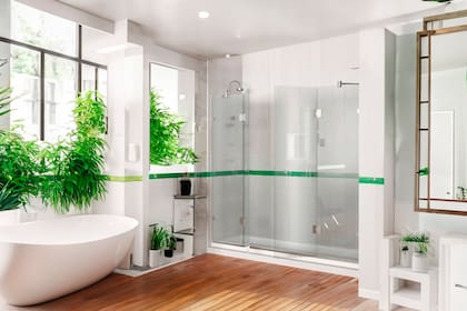 El baño suele ser foco de malos olores debido a su uso