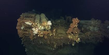 El barco de 106 metros fue colonizado por la vida marina