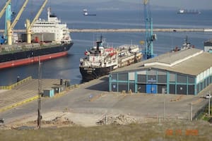 Un barco proveniente de Uruguay quedó varado en Turquía con casi 3000 vacas a bordo