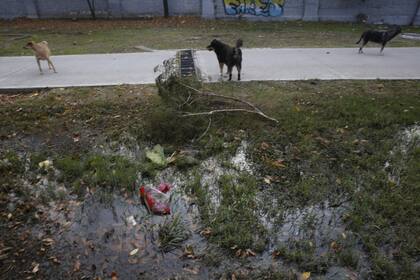 El barrio de Flores, uno de los más afectados por el dengue