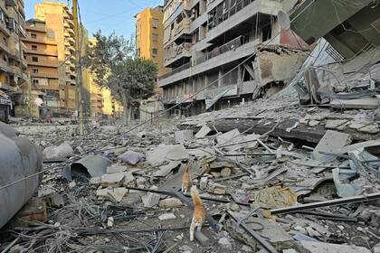 El barrio de Haret Hreik, al sur de Beirut, fue atacado por Israel el 24 de marzo durante bombardeos nocturnos