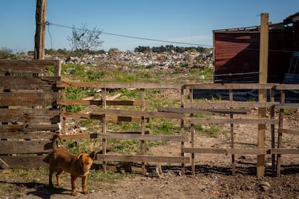 El barrio está prácticamente levantado sobre el basural.