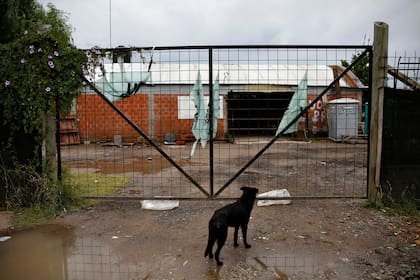 El barrio que buscan transformar las Madres contra el Paco