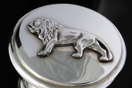 El bastón propuesto por Adrián Pallarols