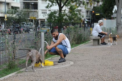 El bebedero de la plaza Monseñor de Andrea
