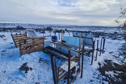 El Bebedero Térmico Ovino alimentado por paneles solares