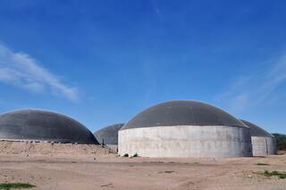 Crece la generación de energía con biomasa de la agroindustria