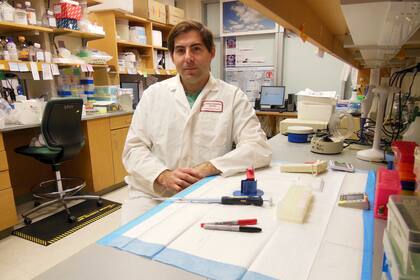 El biólogo español Rubén García, en su laboratorio del Centro Joslin de Diabetes, de la Escuela de Medicina de Harvard, en Boston (EE UU)