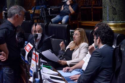 El bloque del Frente de Todos no acompañó los proyectos oficiales de rezonificación y excepciones en el Código Urbanístico