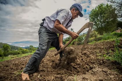 El boom agroexportador ha encarecido el agua y la mano de obra para los pequeños agricultores