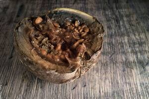 El borojó es una fruta tropical que ayuda a regular la hipertensión (Imagen ilustrativa)