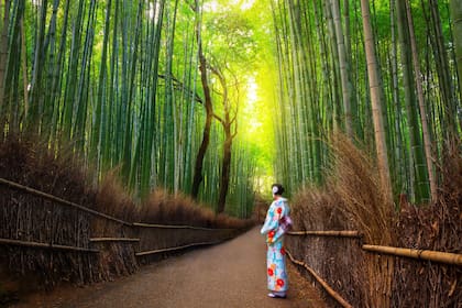 El bosque de bambú de Arashima, un paseo imperial