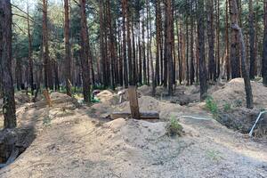El bosque de Izium, donde se encontraron fosas comunes con más de 400 cuerpos tras la liberación de la ciudad de las manos de las fuerzas rusas