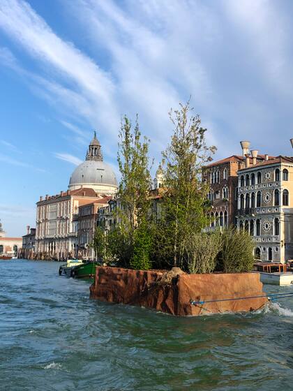 “El bosque, frente a los imponentes Palacios, parece frágil y representa el estado de vulnerabilidad de todos los bosques del mundo", comunicó Maison Random, la institución francesa sin fines de lucro que apoya el proyecto