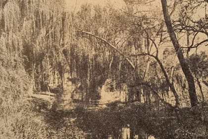 el bosque primigenio de Palermo estaba poblado de espinillos, ceibos y jarillares