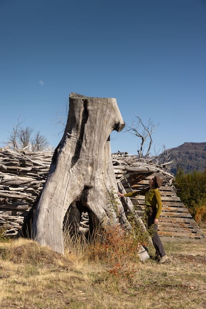 El bosque quemado es protagonista