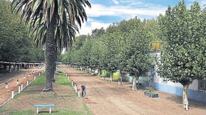 El boulevard San Martín, en el centro de Ernestina, vivió años de esplendor; hoy apenas es transitado